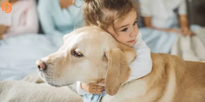 labrador-retriever-family-dog