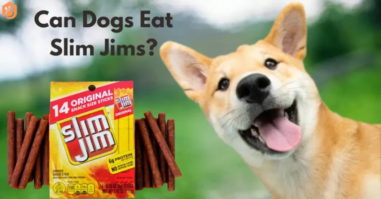 Can Dogs Eat Slim Jims