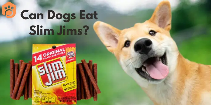 Can Dogs Eat Slim Jims