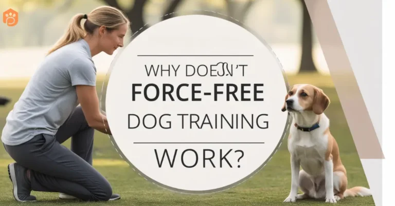 force-free dog training