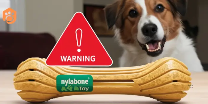 dogs eat Nylabones