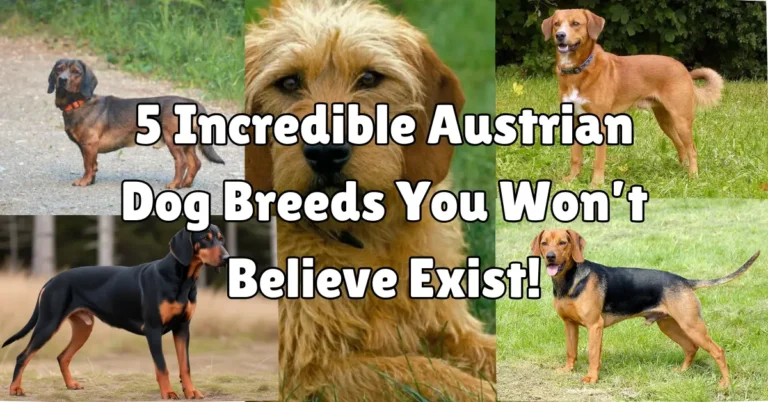 Austrian dog breeds