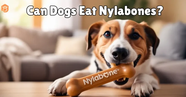 Can Dogs Eat Nylabones? Must-Know Safer Alternatives!