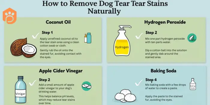 Remove Dog Tear Stains